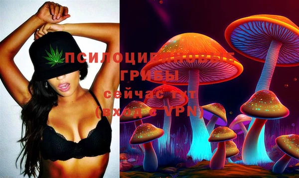 кокаин премиум Алексеевка